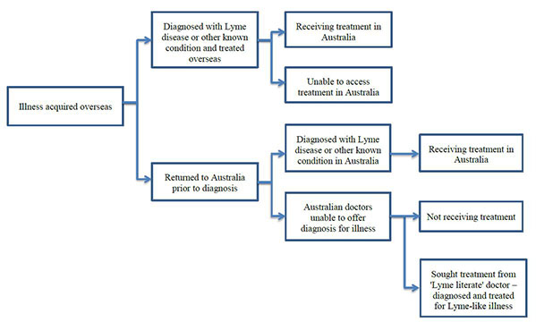 Figure 2.1 – Patient treatment pathways –Illness acquired overseas